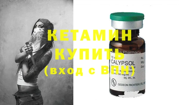 индика Бронницы
