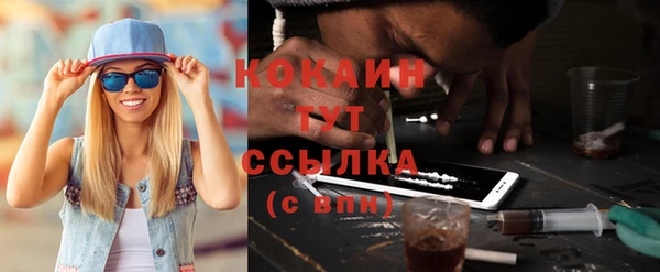 индика Бронницы