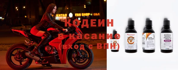 индика Бронницы