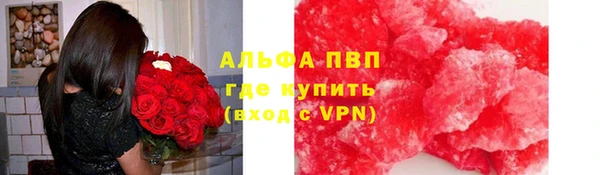 индика Бронницы