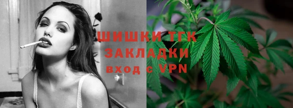 индика Бронницы