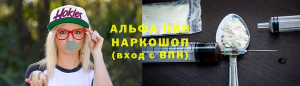 индика Бронницы