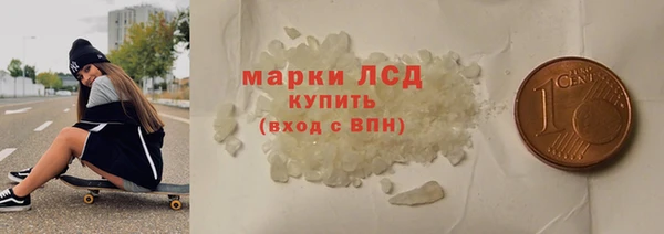 индика Бронницы