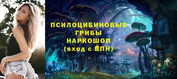 круглые Бородино