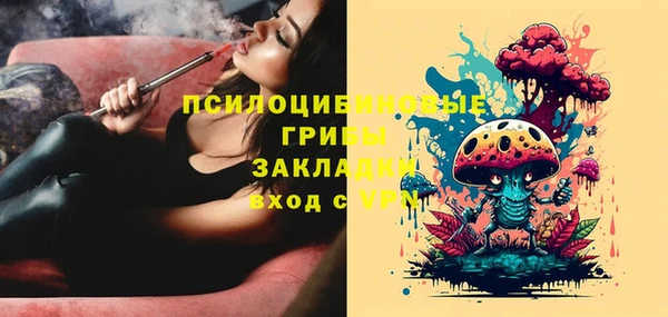 индика Бронницы