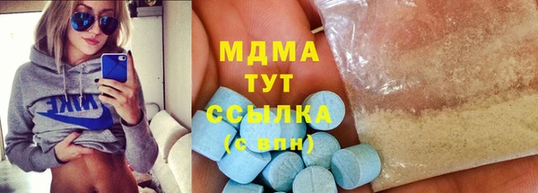 индика Бронницы