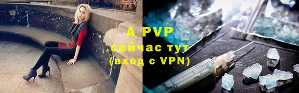 индика Бронницы
