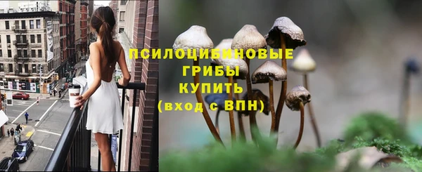 круглые Бородино