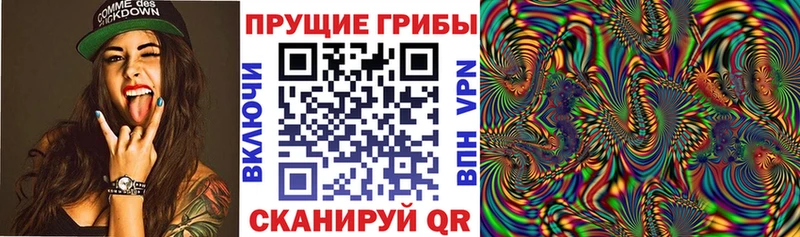 Псилоцибиновые грибы Psilocybe  Каменск-Уральский 